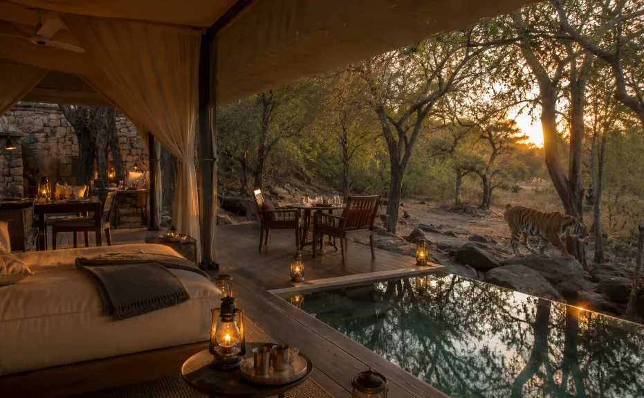 Ranthambore — India